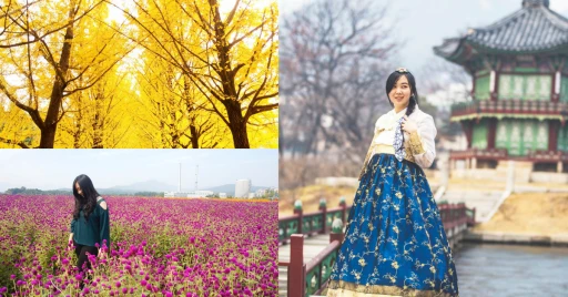 image for article 12 Tempat Wajib Kunjung di Korea yang Instagramable Banget!