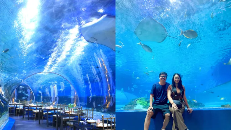 Spot Instagramable Manila Filipina - Manila Ocean Park