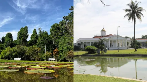 image for article 24 Jam di Bogor: Panduan Lengkap Kabur Sejenak dari Hiruk Pikuk Jakarta!