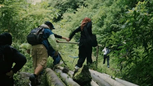 image for article 5 Jalur Hiking di Singapura untuk Pemula, Alternatif Liburan yang Seru