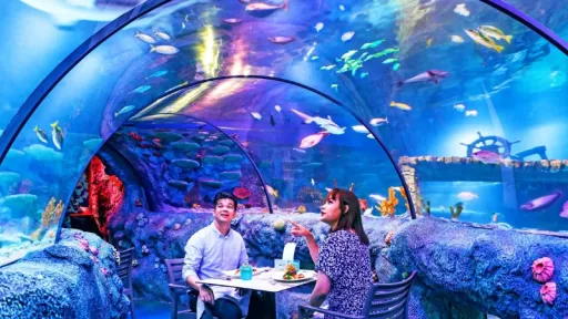 image for article SEA LIFE LEGOLAND® Malaysia Hadirkan Kembali Sensasi Underwater Dining di 2026, Bisa Makan Bareng Hiu