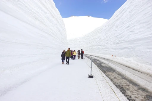 image for article Cara Pergi ke Rute Pegunungan Alpen Tateyama dari Tokyo