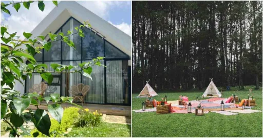 image for article Penginapan Lembang Yang Pet Friendly Untuk Liburan Happy