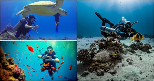 image for article Bukan Hanya Raja Ampat, Ini 15 Spot Diving Terbaik di Indonesia yang Tersembunyi!
