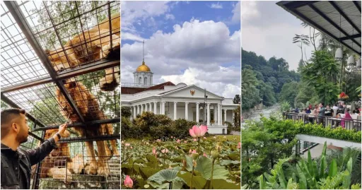 image for article Itinerary 48 Jam di Bogor Bareng Keluarga yang Seru Abis!