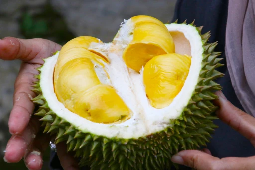 image for article 7 Tempat Makan Durian di Malaysia untuk Musim Durian Selanjutnya