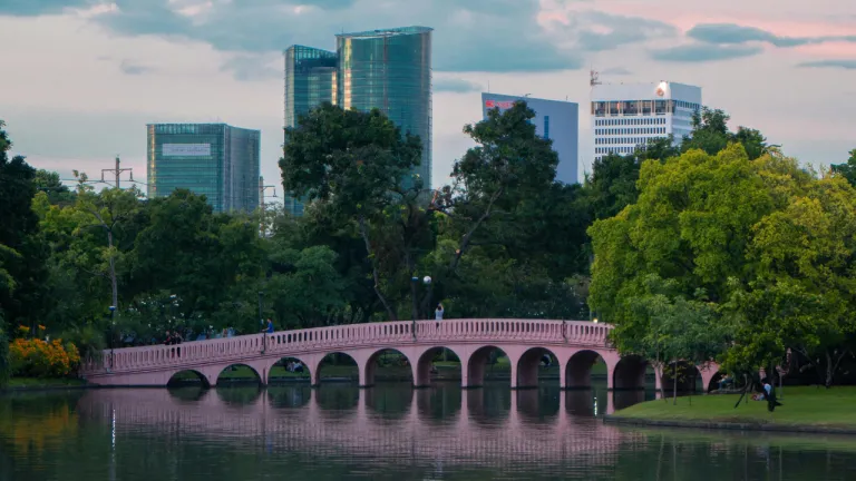 Tempat Wisata Viral Bangkok, Thailand - Chatuchak Park