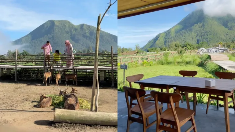 Itinerary 3H2M Liburan di Magelang