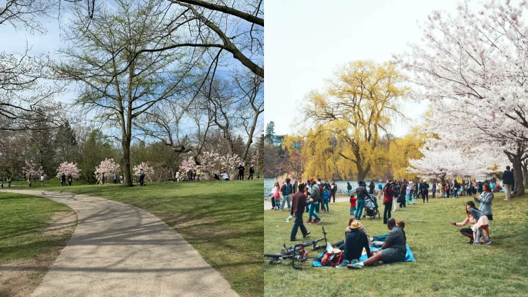Wisata Toronto, Kanada - High Park