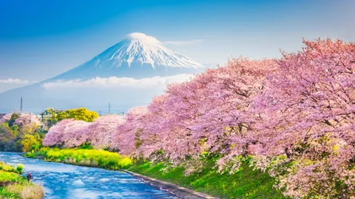 image for article Panduan Wisata Ramah Muslim di Shizuoka, Dari Masjid Hingga Makanan Halal