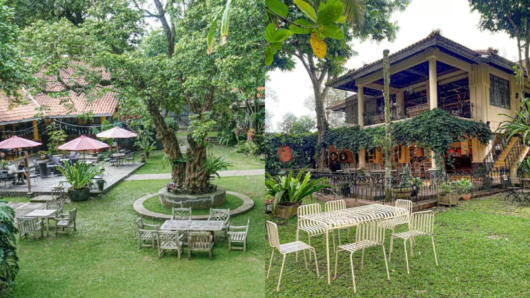 Kafe Salatiga - Kayu Arum