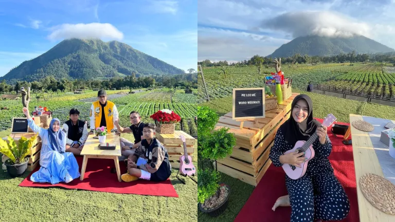 Kafe Magelang - Senja Pagi Cafe And Glamping