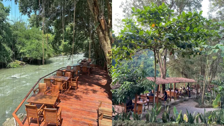 Restoran di Magelang - Puunee Borobudur
