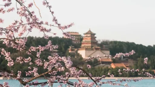 image for article Panduan Musim dan Destinasi di China, Kapan Waktu Terbaik Untuk Berkunjung