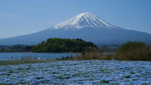 image for article Panduan Musim Bunga di Jepang, Jadwal Mekar dan Destinasi Terbaik untuk Dikunjungi