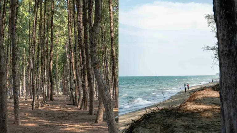 Wisata Kota Bharu, Malaysia - Senok Beach