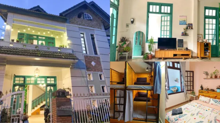 Hostel Dalat Vietnam - The Sparrow Dalat
