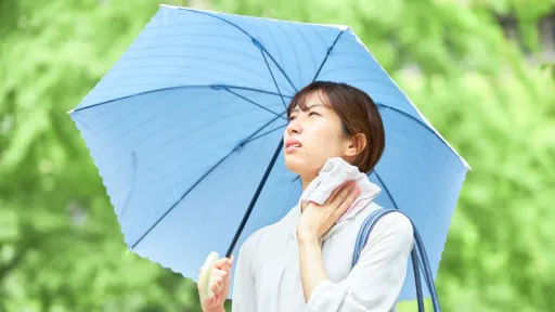 image for article Suhu di Jepang Mencapai 40 Derajat Celcius, Ini Panduan Bijak Liburan di Musim Panas