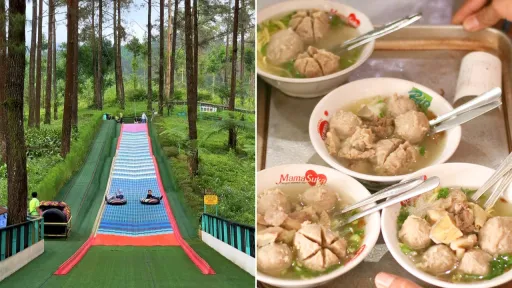 image for article Itinerary 3H2M Liburan Keluarga di Purwokerto Yang Seru Untuk Semua Umur