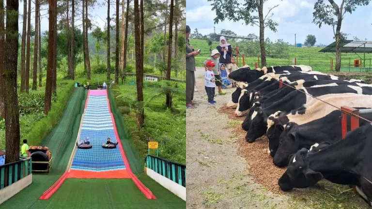 Itinerary 3H2M Liburan Keluarga Purwokerto