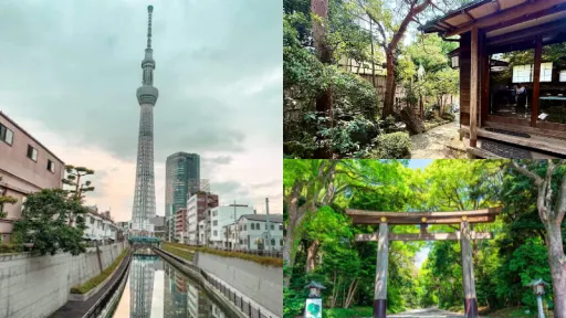 image for article 5 Hidden Gem di Tokyo yang Tenang dan Muslim-Friendly untuk Dijelajahi