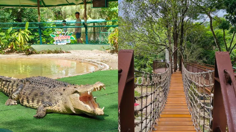 Wisata Langkawi Malaysia - Crocodile Adventureland Langkawi