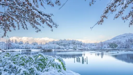 image for article Itinerary Liburan Musim Dingin 10 Hari di Korea untuk Keluarga