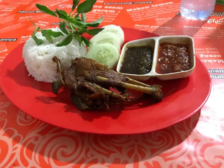 Bebek Palupi