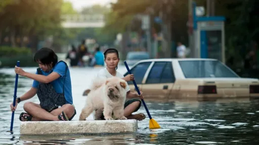 image for article Bangkok Nyatakan Darurat Bencana Akibat Banjir: Ini Hal yang Perlu Diketahui Wisatawan