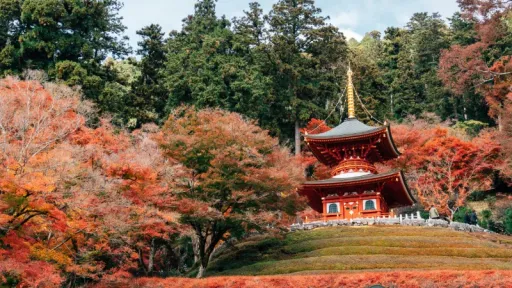 image for article 8 Spot Terbaik di Osaka Untuk Menikmati Musim Gugur, Wajib Masuk Itinerary Liburanmu