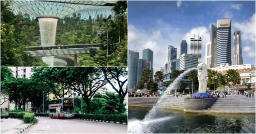 image for article Panduan Jalan-Jalan Menggunakan Transportasi Umum Di Singapura