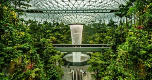 image for article Bandara Changi Singapura Dan Segudang Aktivitas Seru Yang Bisa Dilakukan Di Sana