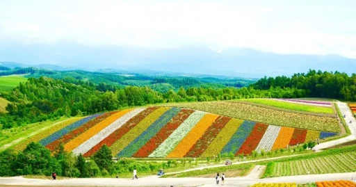 image for article Wisata Hokkaido, Serba Cantik dan Menawan di Mata