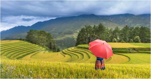 image for article Wisata Di Sapa Vietnam, 12 Inspirasi Aktivitas Untuk Kunjungan Pertamamu