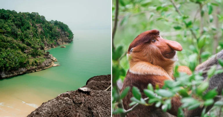 Sarawak Instagrambel Spot - Bako National Park