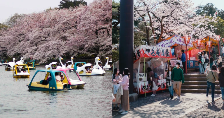 Mengenal Hanami dan Hal-hal Yang Tidak Boleh Dilakukan Saat Melihat Bunga Sakura di Jepang