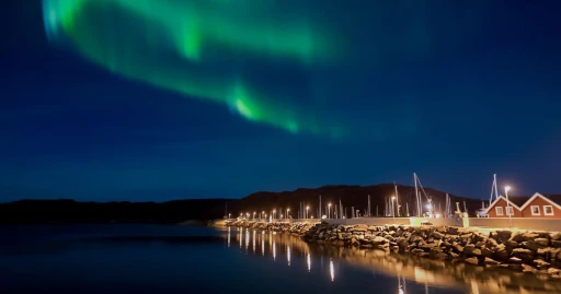 image for article Tidak Harus Ke Islandia, Aurora Borealis Bisa Dilihat Di Singapura, Begini Caranya