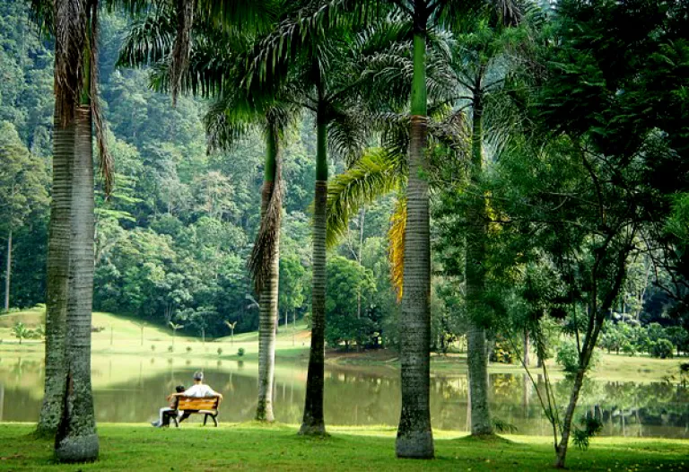 Tempat piknik Kuala Lumpur, Malaysia