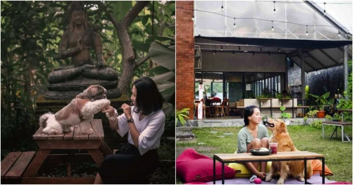 image for article Pet Friendly Banget, 12 Cafe dan Tempat Nongkrong Di Jogja Ini Tawarkan Sensasi Asyik Bersama Anabul